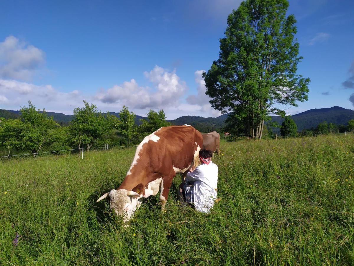 Tourist Farm Strle With Great Local Food Villa Cerknica Luaran gambar
