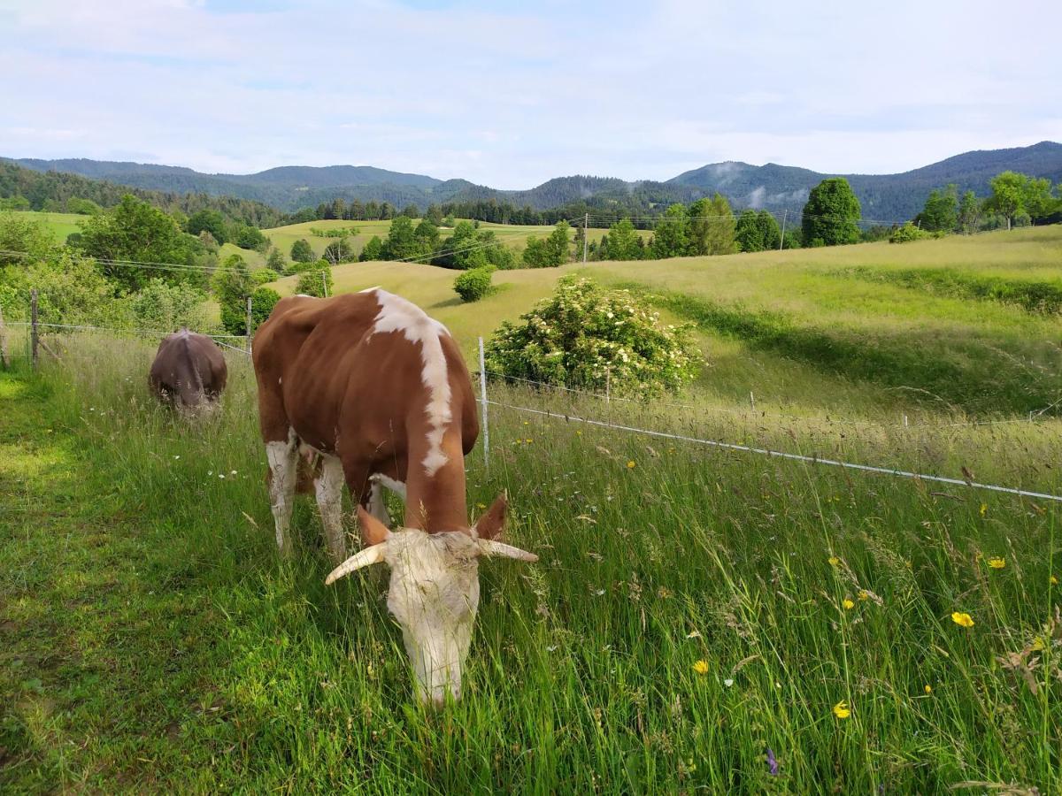 Tourist Farm Strle With Great Local Food Villa Cerknica Luaran gambar