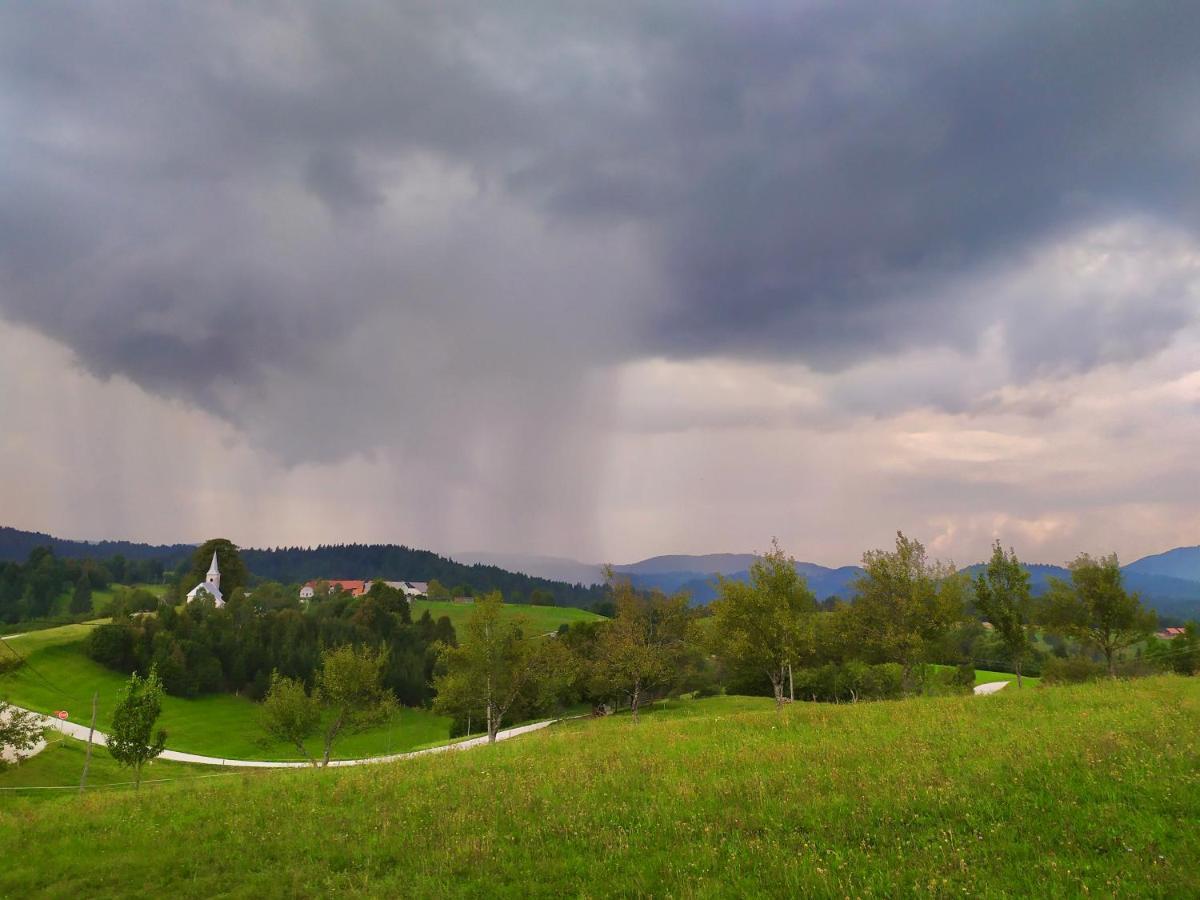 Tourist Farm Strle With Great Local Food Villa Cerknica Luaran gambar