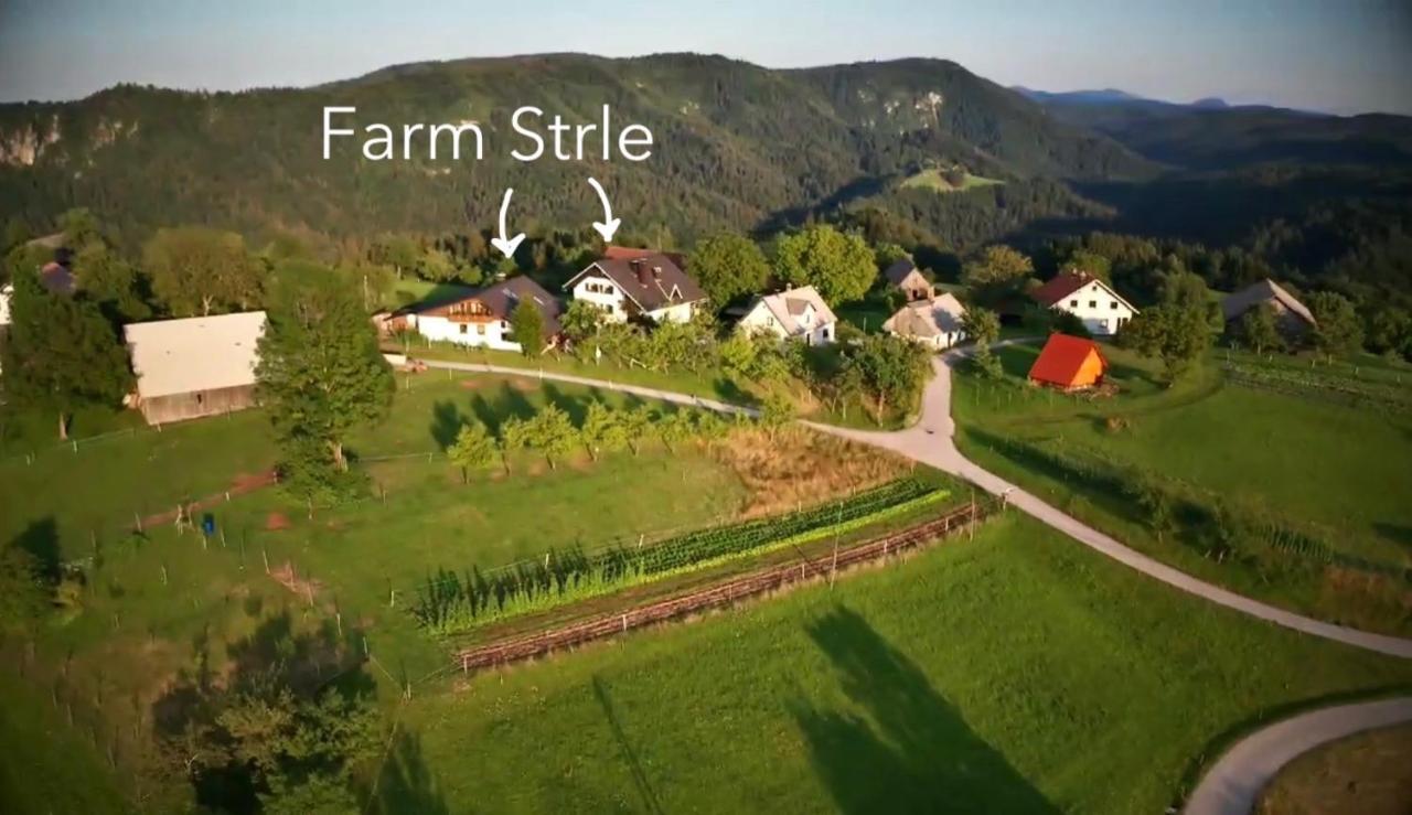 Tourist Farm Strle With Great Local Food Villa Cerknica Luaran gambar