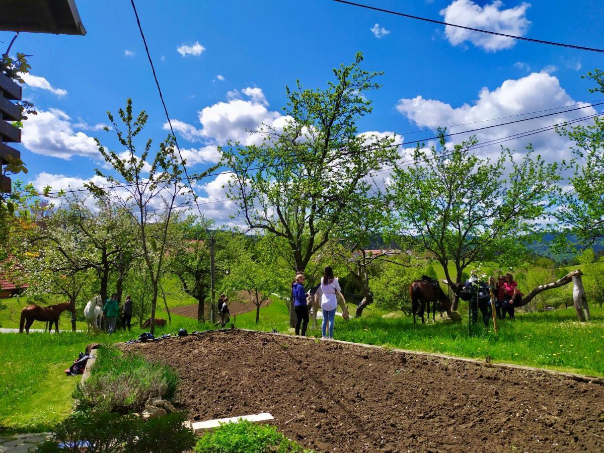 Tourist Farm Strle With Great Local Food Villa Cerknica Luaran gambar