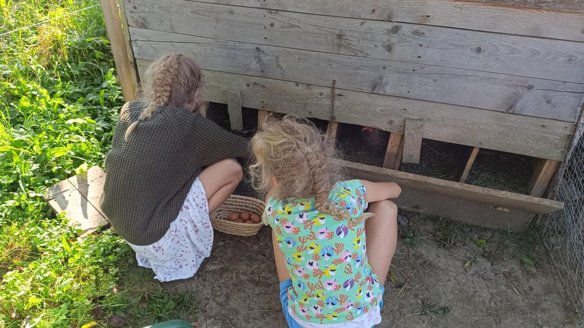 Tourist Farm Strle With Great Local Food Villa Cerknica Luaran gambar