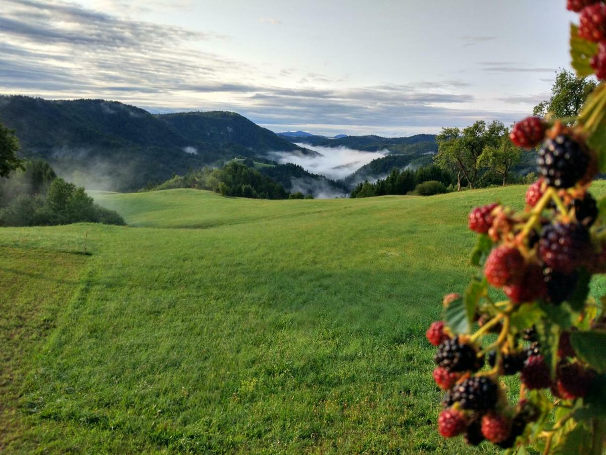 Tourist Farm Strle With Great Local Food Villa Cerknica Luaran gambar