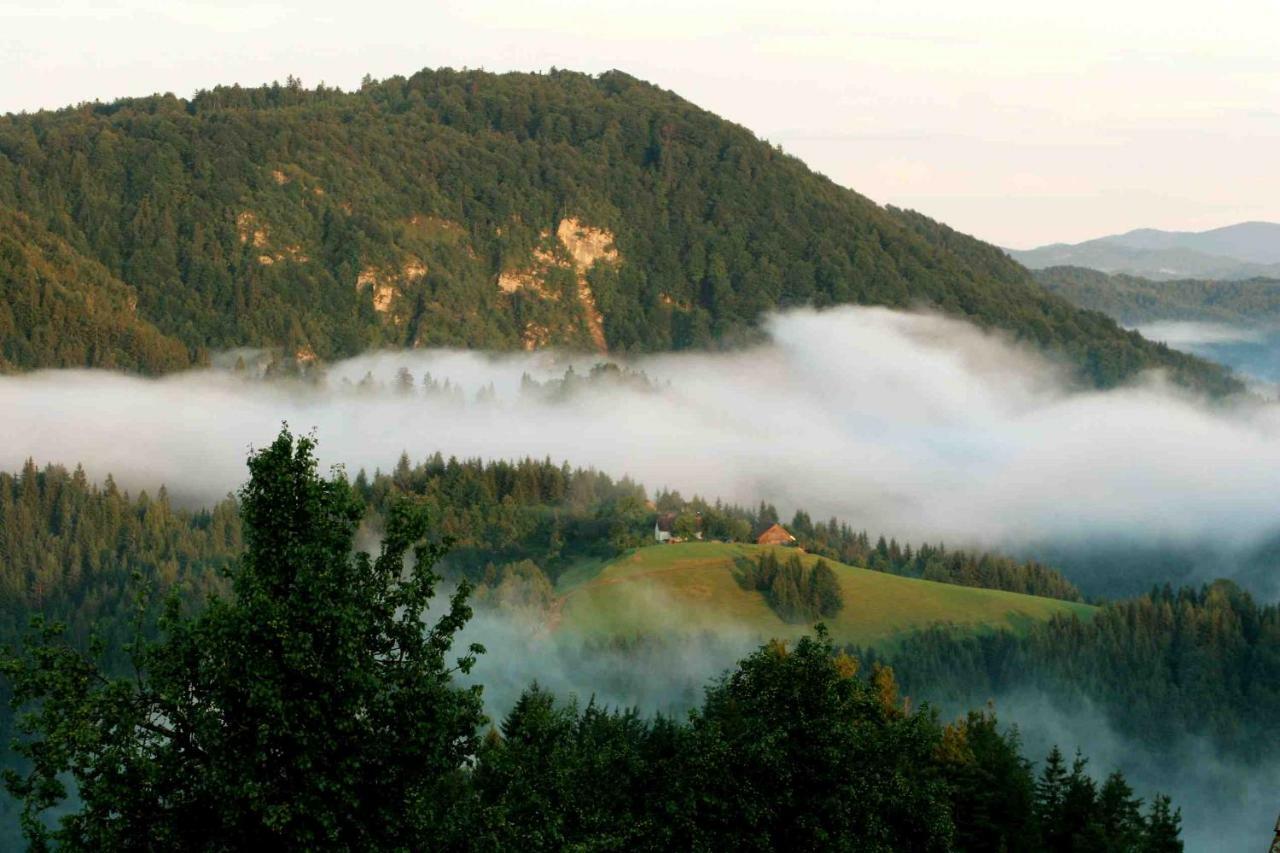 Tourist Farm Strle With Great Local Food Villa Cerknica Luaran gambar