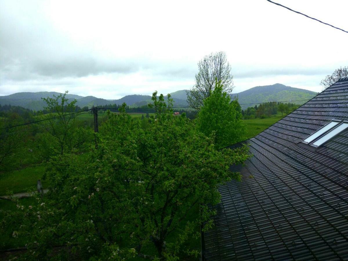 Tourist Farm Strle With Great Local Food Villa Cerknica Luaran gambar