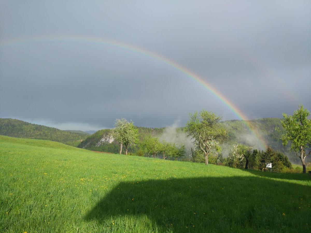 Tourist Farm Strle With Great Local Food Villa Cerknica Luaran gambar