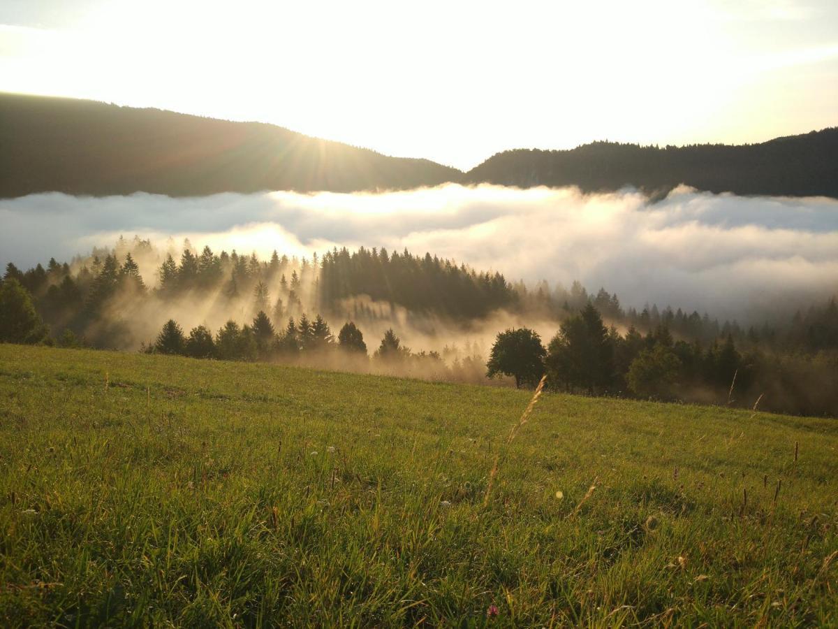 Tourist Farm Strle With Great Local Food Villa Cerknica Luaran gambar